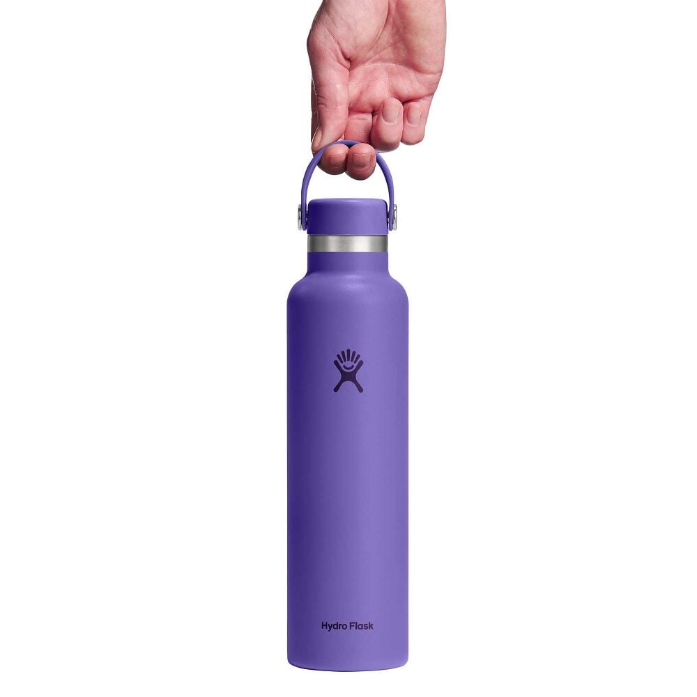Purple Hydro Flask water bottle with matte finish, stainless steel band, matching cap with flexible carry handle, and Hydro Flask logo. Sleek cylindrical design.